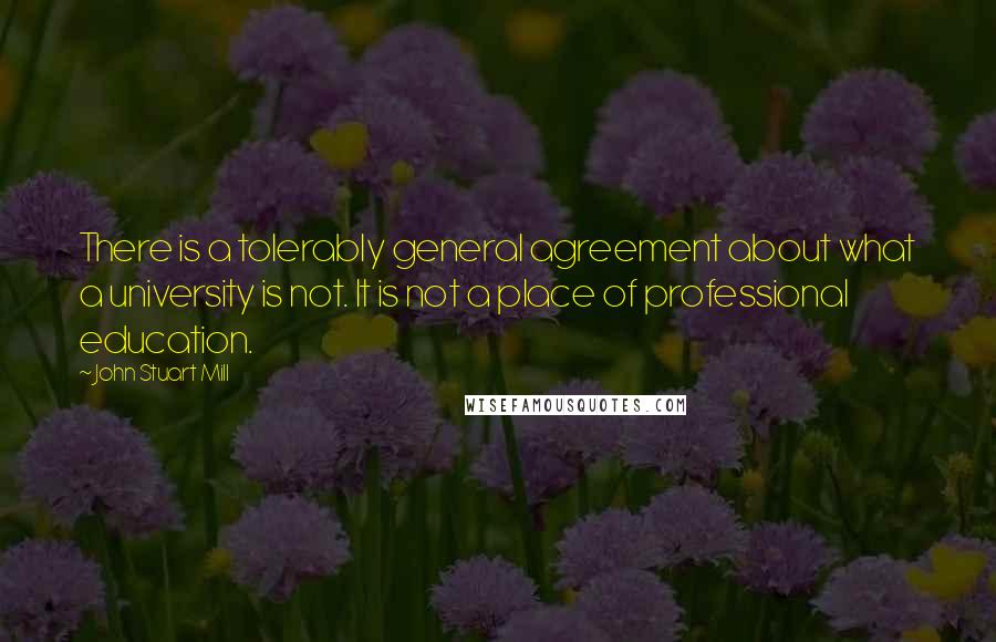 John Stuart Mill Quotes: There is a tolerably general agreement about what a university is not. It is not a place of professional education.