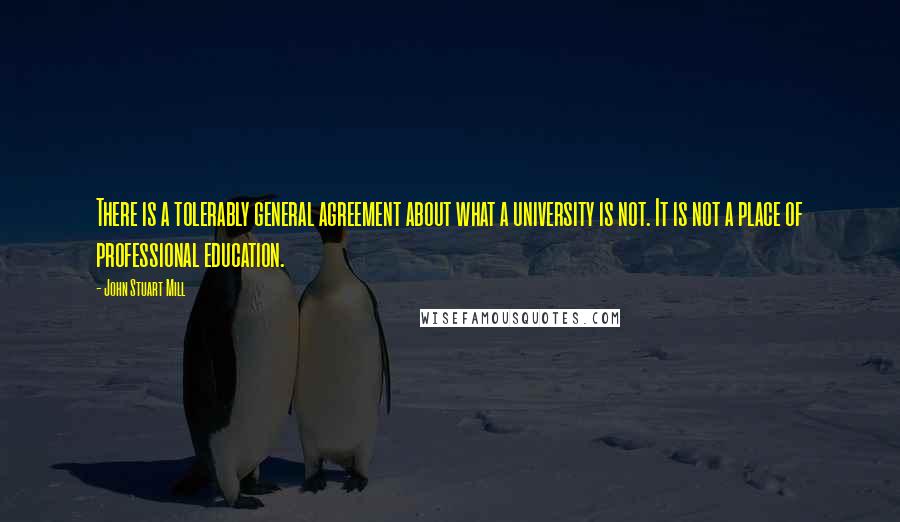 John Stuart Mill Quotes: There is a tolerably general agreement about what a university is not. It is not a place of professional education.