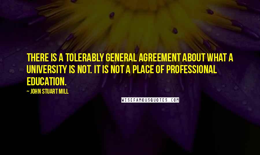 John Stuart Mill Quotes: There is a tolerably general agreement about what a university is not. It is not a place of professional education.