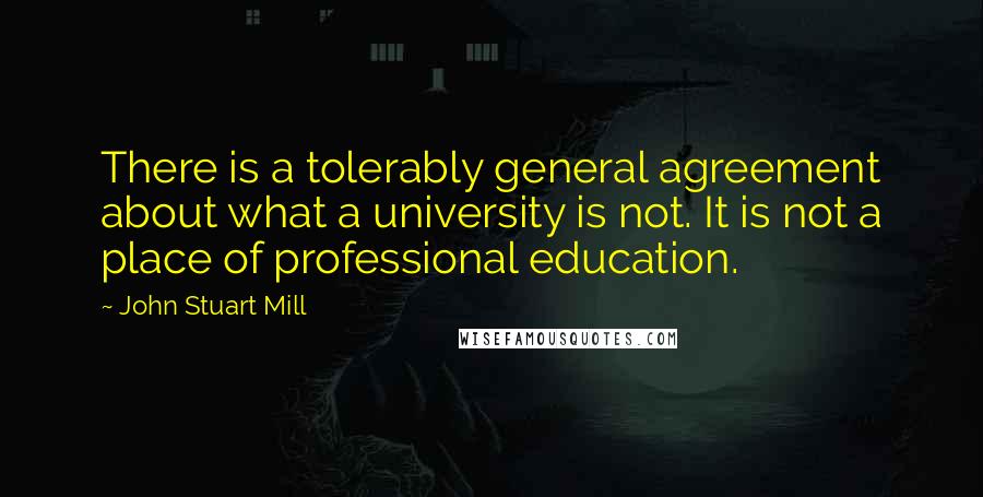 John Stuart Mill Quotes: There is a tolerably general agreement about what a university is not. It is not a place of professional education.