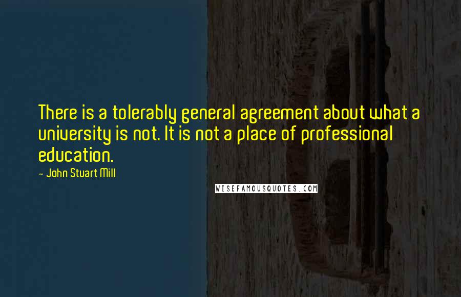 John Stuart Mill Quotes: There is a tolerably general agreement about what a university is not. It is not a place of professional education.