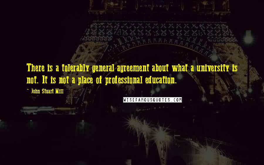John Stuart Mill Quotes: There is a tolerably general agreement about what a university is not. It is not a place of professional education.