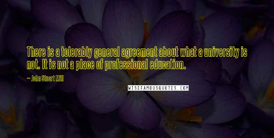John Stuart Mill Quotes: There is a tolerably general agreement about what a university is not. It is not a place of professional education.