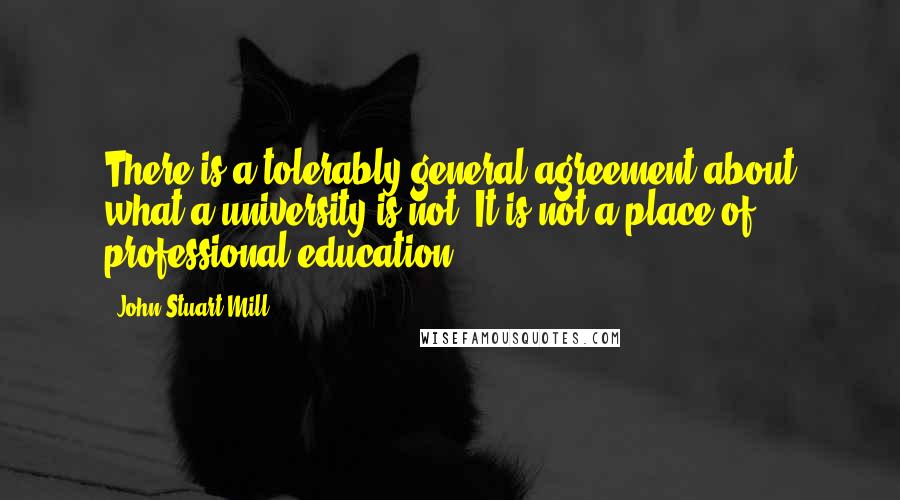 John Stuart Mill Quotes: There is a tolerably general agreement about what a university is not. It is not a place of professional education.