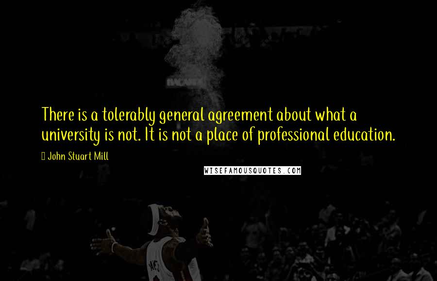 John Stuart Mill Quotes: There is a tolerably general agreement about what a university is not. It is not a place of professional education.