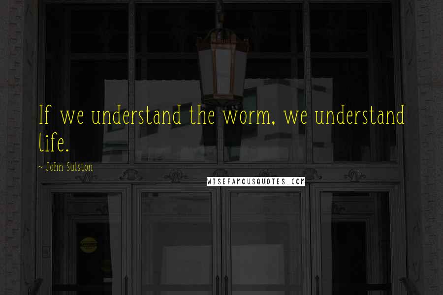 John Sulston Quotes: If we understand the worm, we understand life.