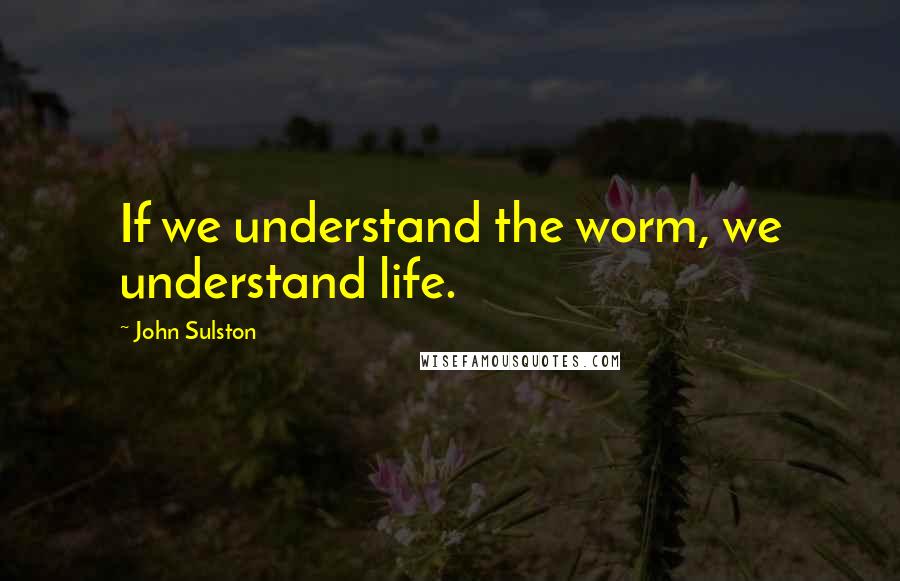 John Sulston Quotes: If we understand the worm, we understand life.