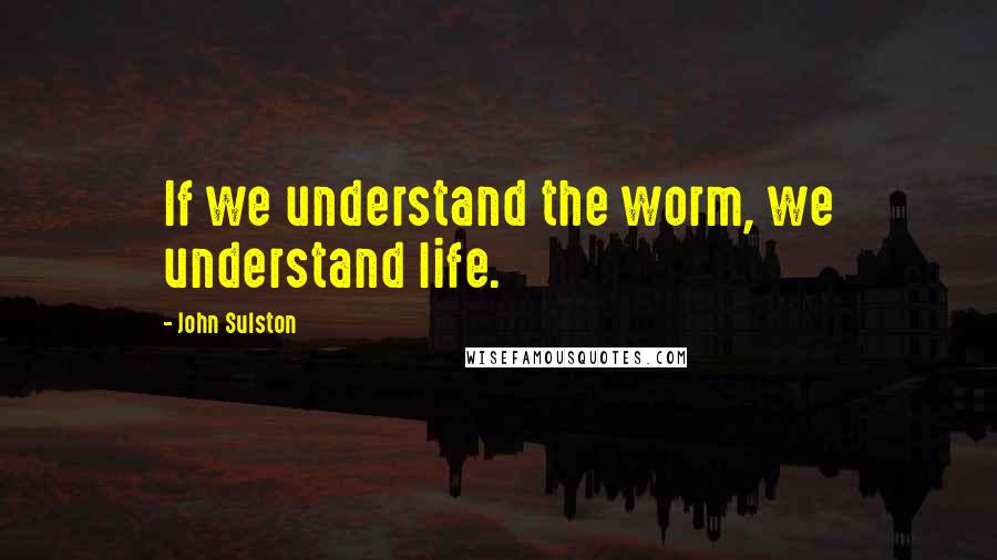 John Sulston Quotes: If we understand the worm, we understand life.
