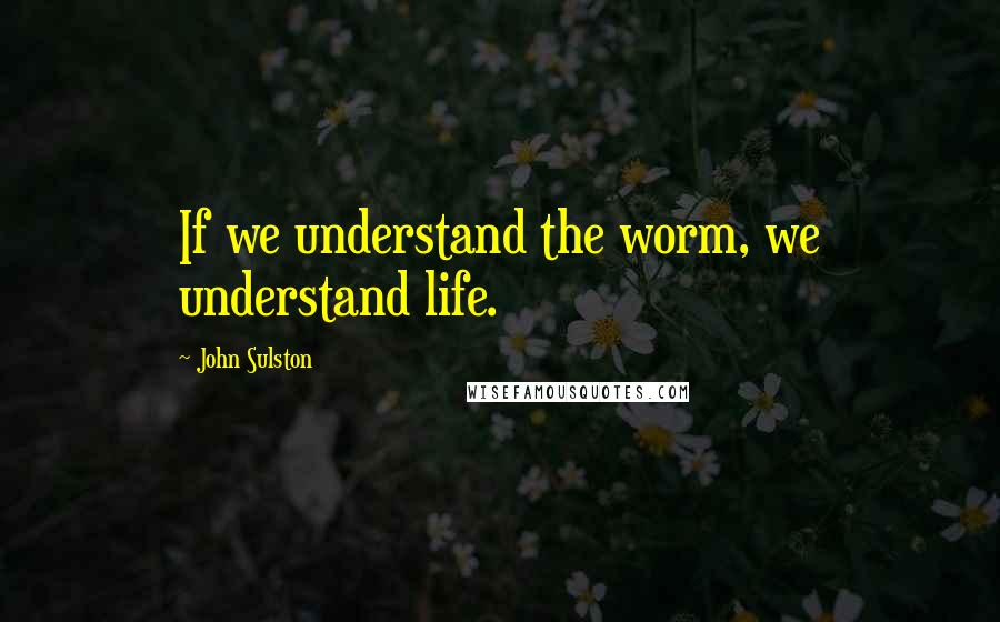 John Sulston Quotes: If we understand the worm, we understand life.