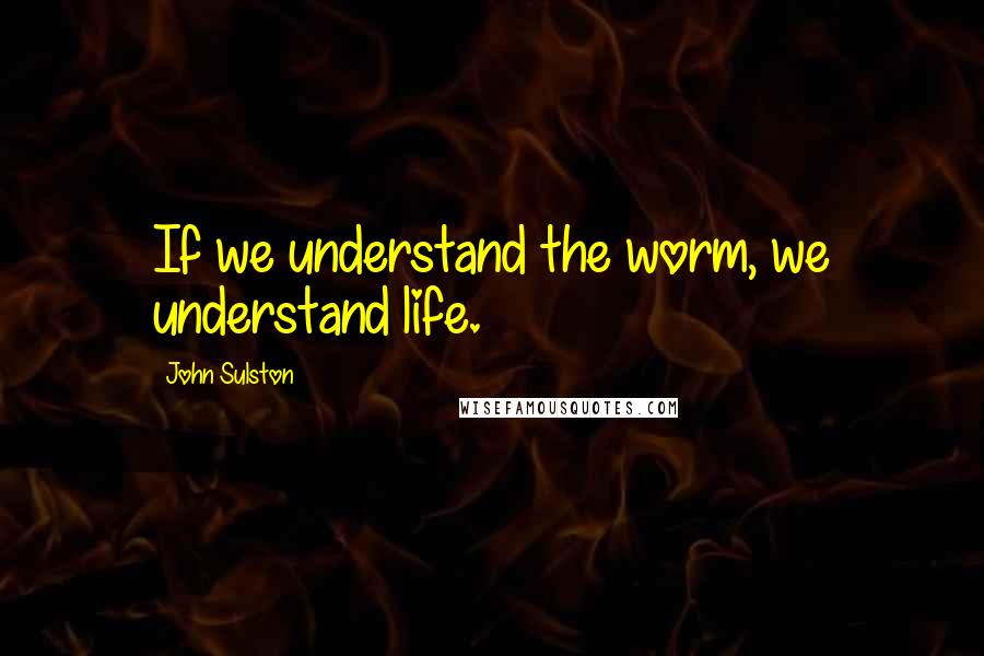 John Sulston Quotes: If we understand the worm, we understand life.
