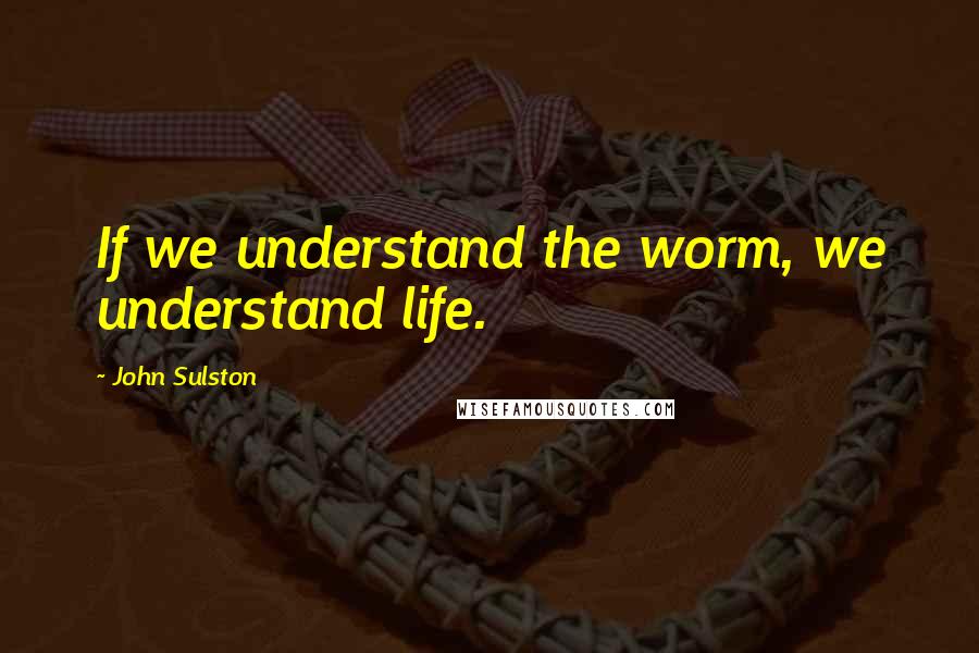 John Sulston Quotes: If we understand the worm, we understand life.