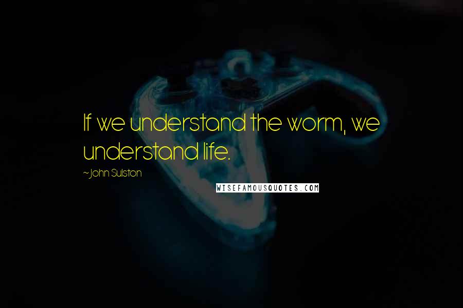John Sulston Quotes: If we understand the worm, we understand life.