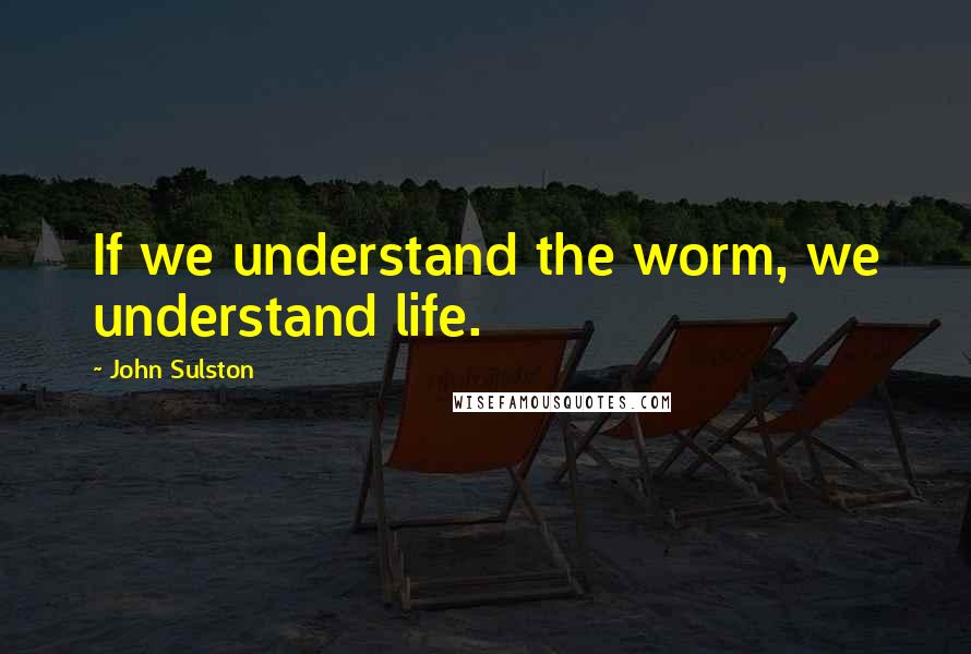 John Sulston Quotes: If we understand the worm, we understand life.