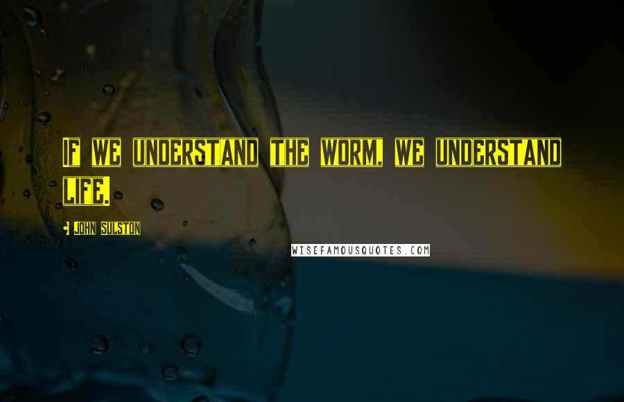 John Sulston Quotes: If we understand the worm, we understand life.