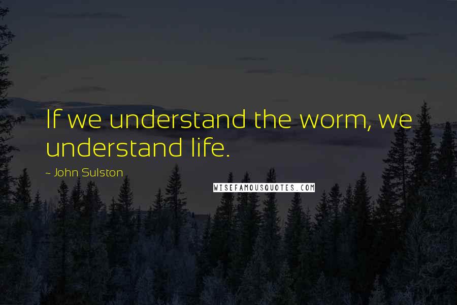 John Sulston Quotes: If we understand the worm, we understand life.