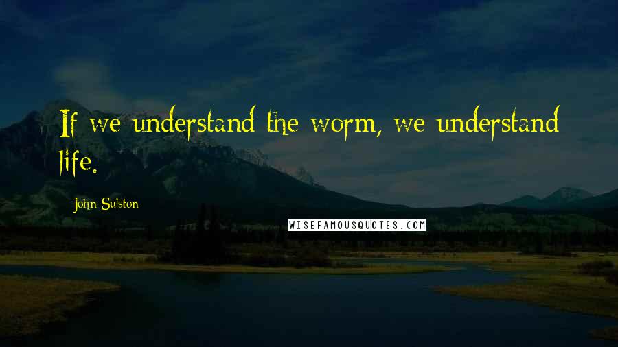 John Sulston Quotes: If we understand the worm, we understand life.