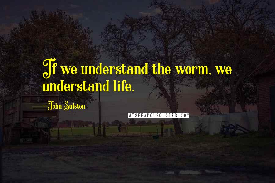 John Sulston Quotes: If we understand the worm, we understand life.