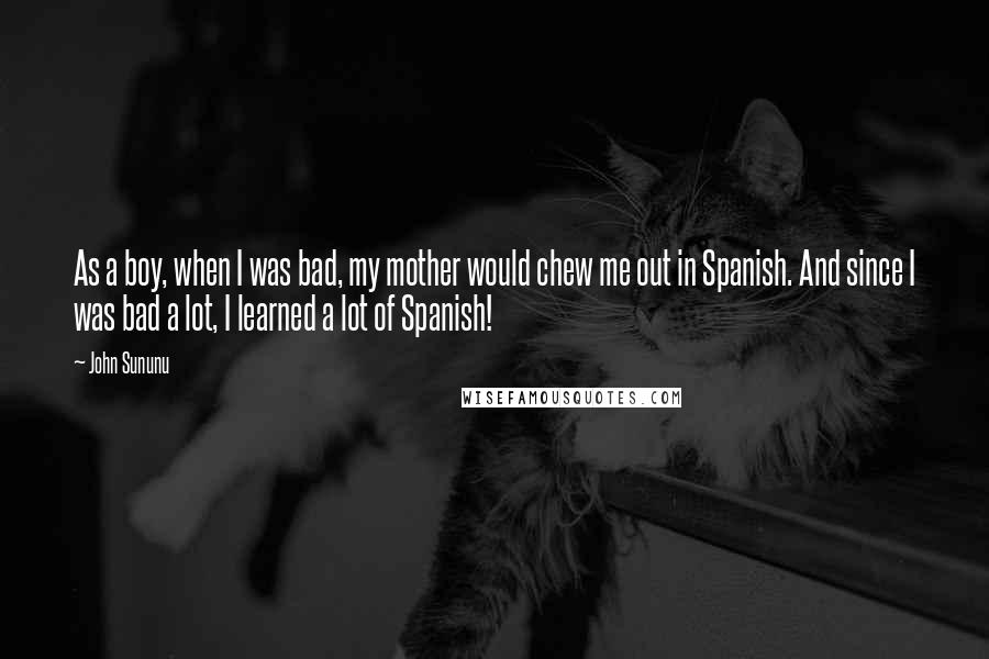 John Sununu Quotes: As a boy, when I was bad, my mother would chew me out in Spanish. And since I was bad a lot, I learned a lot of Spanish!