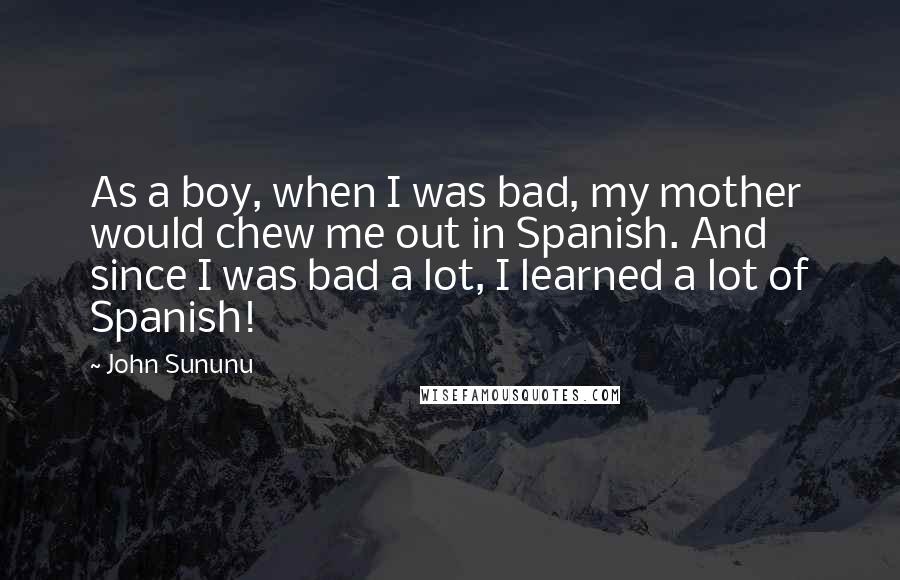 John Sununu Quotes: As a boy, when I was bad, my mother would chew me out in Spanish. And since I was bad a lot, I learned a lot of Spanish!