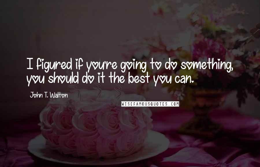 John T. Walton Quotes: I figured if you're going to do something, you should do it the best you can.