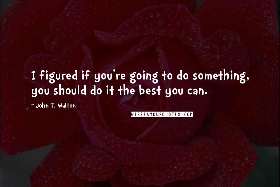 John T. Walton Quotes: I figured if you're going to do something, you should do it the best you can.