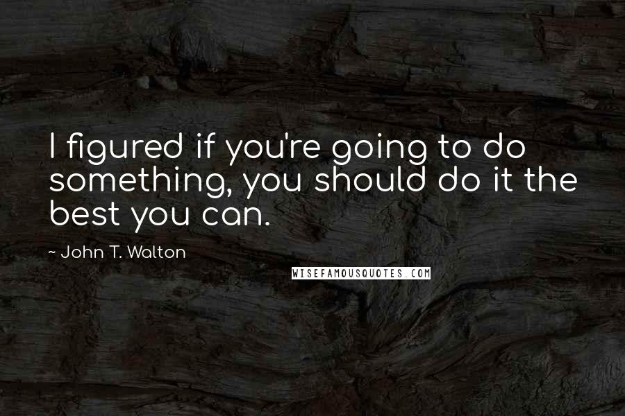 John T. Walton Quotes: I figured if you're going to do something, you should do it the best you can.