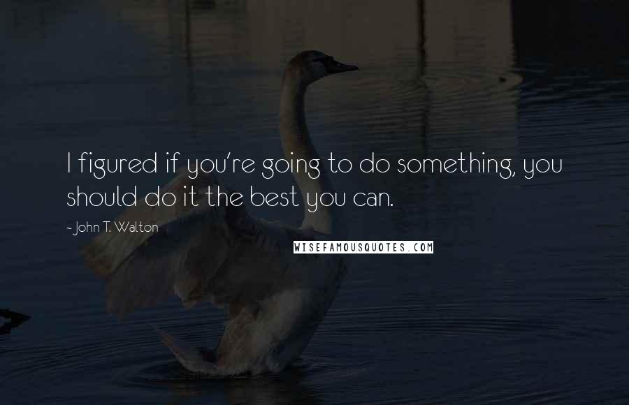 John T. Walton Quotes: I figured if you're going to do something, you should do it the best you can.