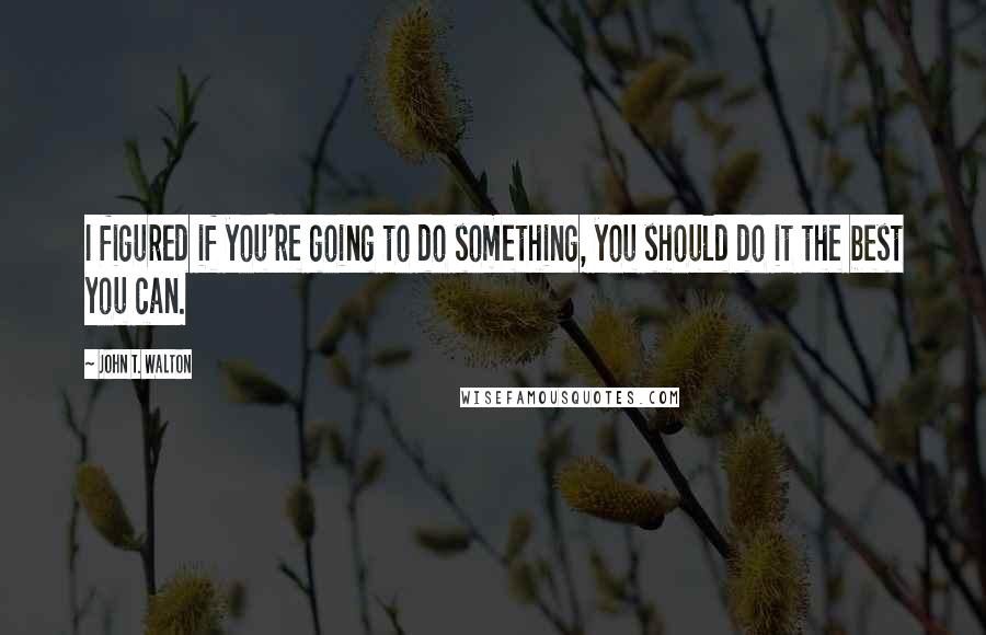 John T. Walton Quotes: I figured if you're going to do something, you should do it the best you can.