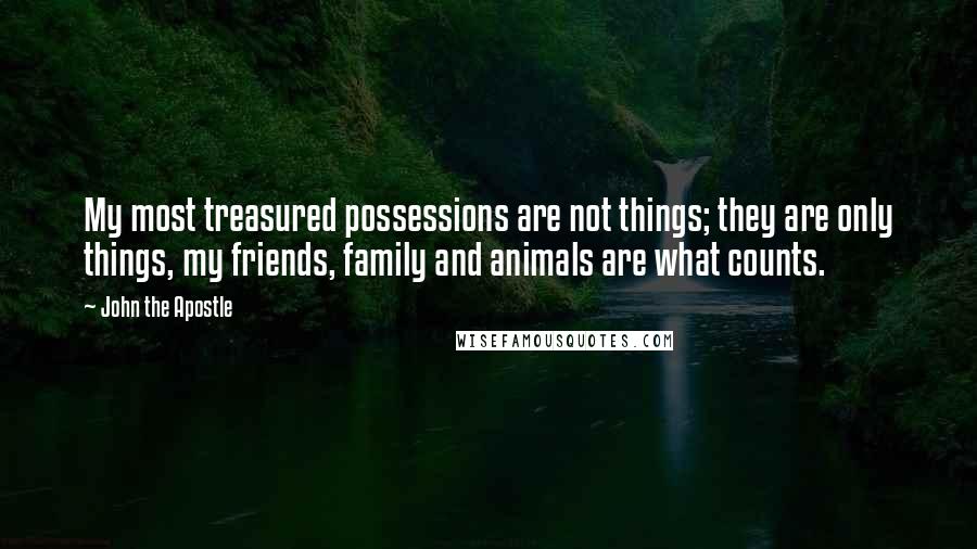 John The Apostle Quotes: My most treasured possessions are not things; they are only things, my friends, family and animals are what counts.