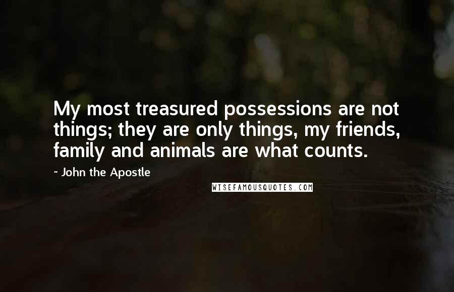 John The Apostle Quotes: My most treasured possessions are not things; they are only things, my friends, family and animals are what counts.