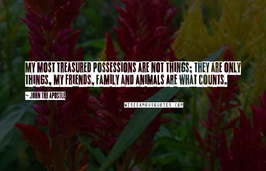 John The Apostle Quotes: My most treasured possessions are not things; they are only things, my friends, family and animals are what counts.