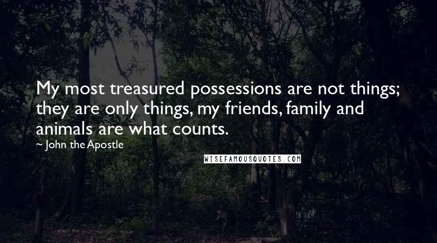 John The Apostle Quotes: My most treasured possessions are not things; they are only things, my friends, family and animals are what counts.