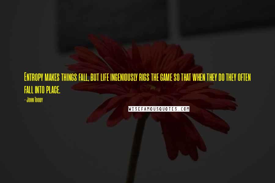 John Tooby Quotes: Entropy makes things fall, but life ingeniously rigs the game so that when they do they often fall into place.