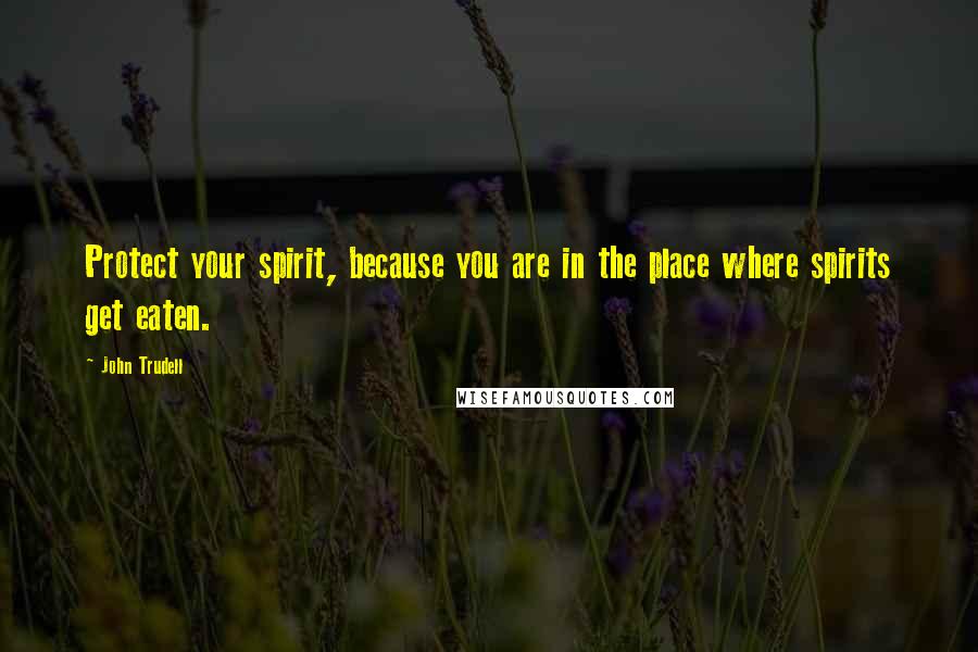 John Trudell Quotes: Protect your spirit, because you are in the place where spirits get eaten.