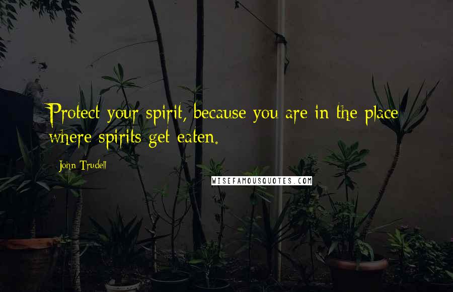 John Trudell Quotes: Protect your spirit, because you are in the place where spirits get eaten.