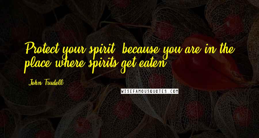 John Trudell Quotes: Protect your spirit, because you are in the place where spirits get eaten.