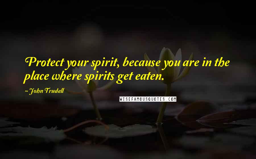 John Trudell Quotes: Protect your spirit, because you are in the place where spirits get eaten.