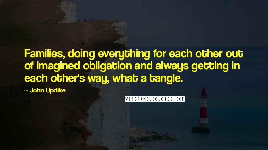 John Updike Quotes: Families, doing everything for each other out of imagined obligation and always getting in each other's way, what a tangle.