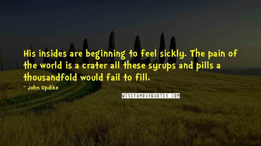 John Updike Quotes: His insides are beginning to feel sickly. The pain of the world is a crater all these syrups and pills a thousandfold would fail to fill.