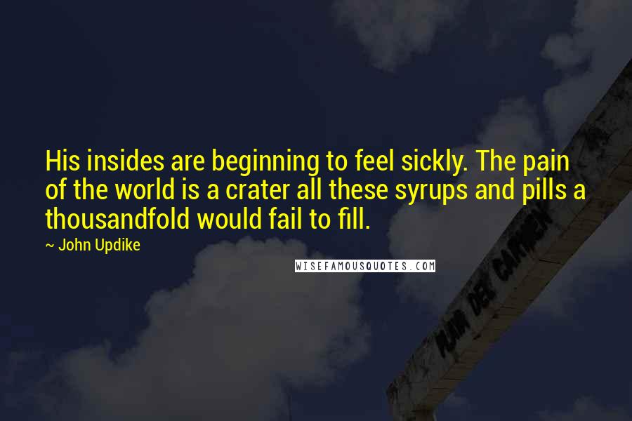 John Updike Quotes: His insides are beginning to feel sickly. The pain of the world is a crater all these syrups and pills a thousandfold would fail to fill.