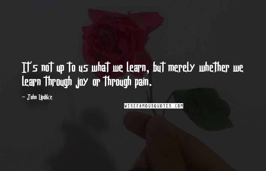 John Updike Quotes: It's not up to us what we learn, but merely whether we learn through joy or through pain.