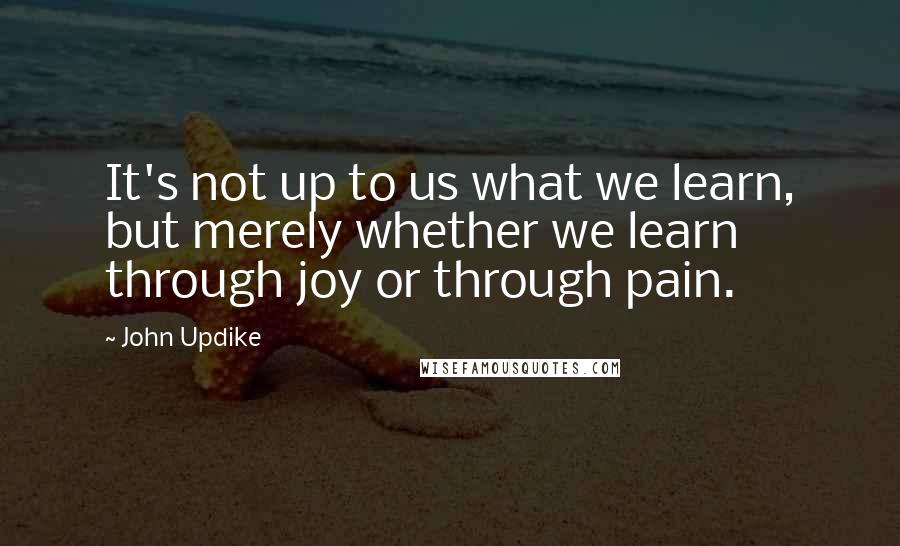 John Updike Quotes: It's not up to us what we learn, but merely whether we learn through joy or through pain.