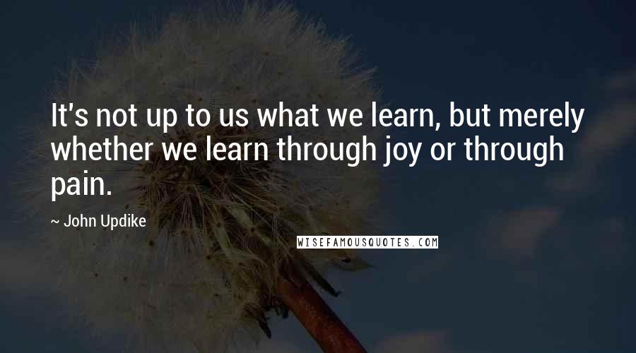 John Updike Quotes: It's not up to us what we learn, but merely whether we learn through joy or through pain.