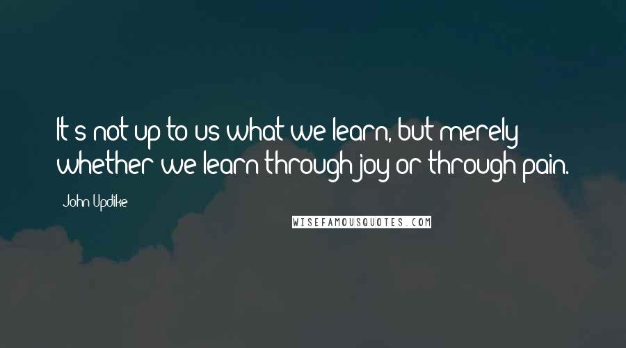 John Updike Quotes: It's not up to us what we learn, but merely whether we learn through joy or through pain.