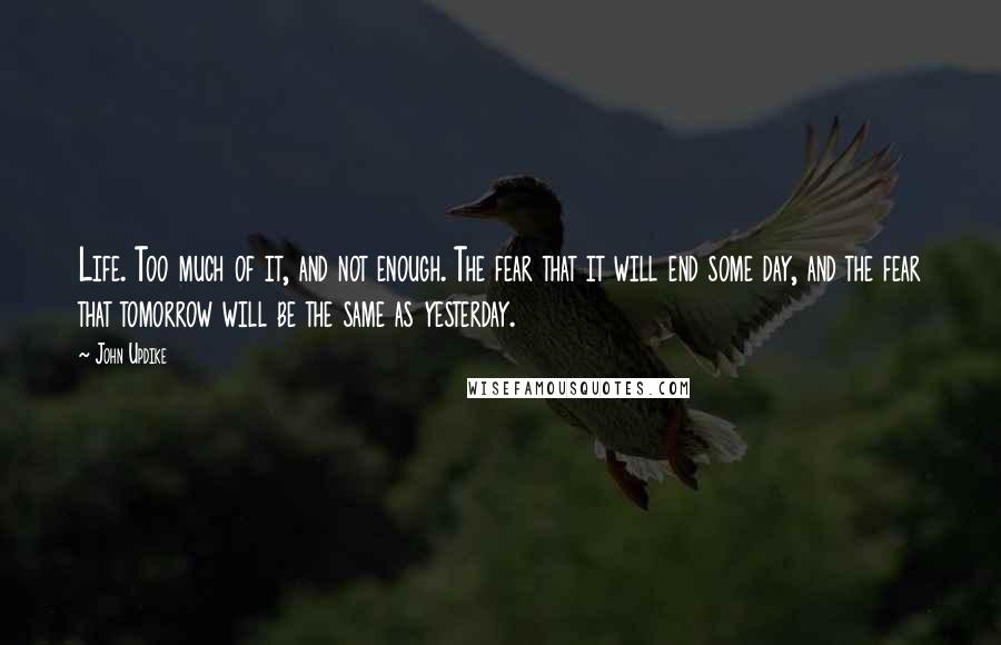 John Updike Quotes: Life. Too much of it, and not enough. The fear that it will end some day, and the fear that tomorrow will be the same as yesterday.