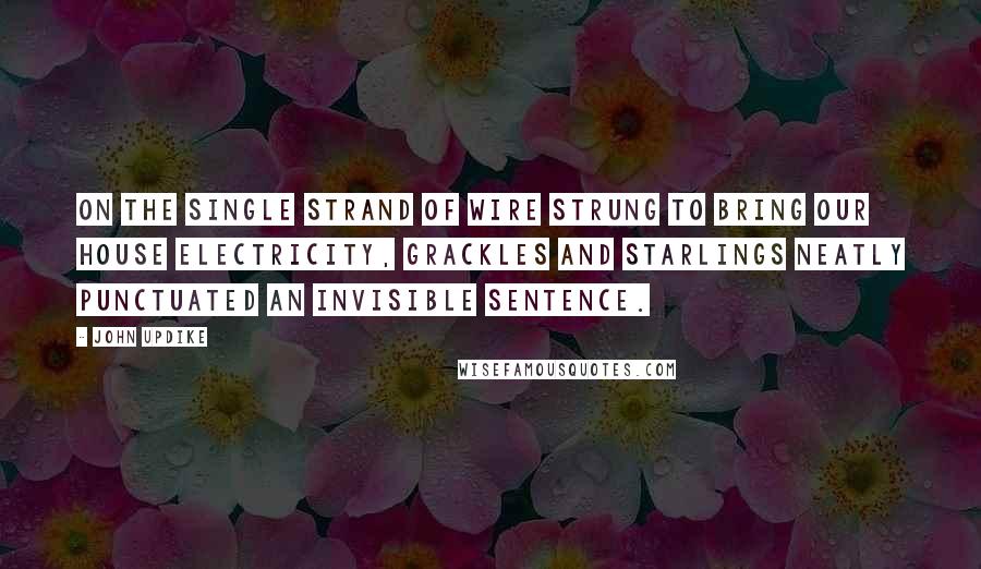 John Updike Quotes: On the single strand of wire strung to bring our house electricity, grackles and starlings neatly punctuated an invisible sentence.