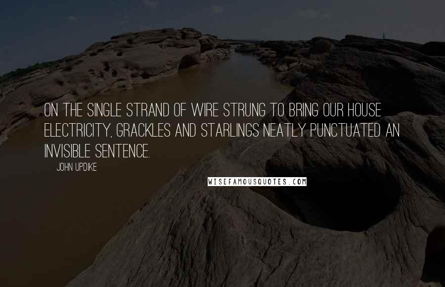 John Updike Quotes: On the single strand of wire strung to bring our house electricity, grackles and starlings neatly punctuated an invisible sentence.