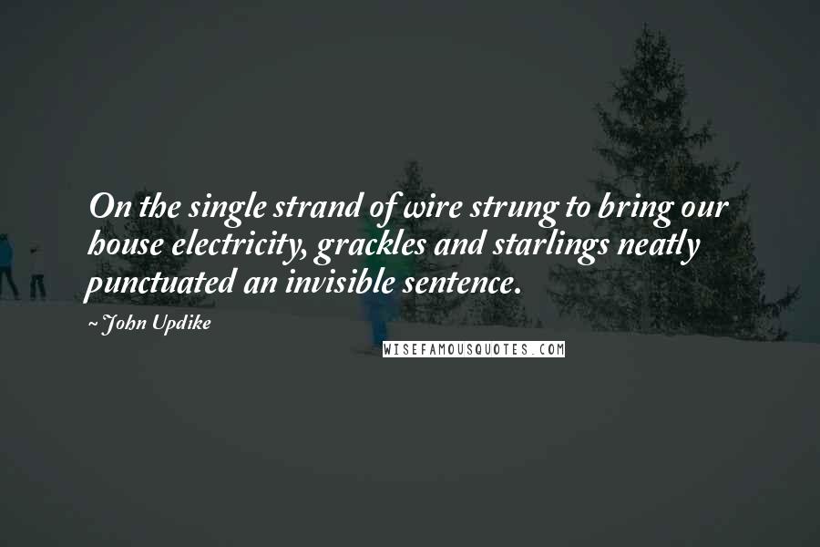 John Updike Quotes: On the single strand of wire strung to bring our house electricity, grackles and starlings neatly punctuated an invisible sentence.