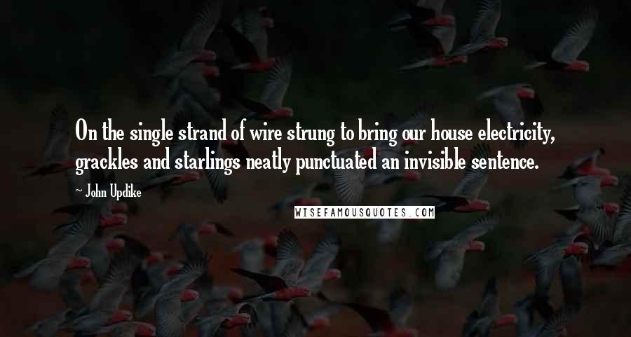 John Updike Quotes: On the single strand of wire strung to bring our house electricity, grackles and starlings neatly punctuated an invisible sentence.