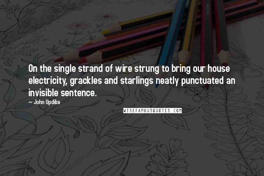 John Updike Quotes: On the single strand of wire strung to bring our house electricity, grackles and starlings neatly punctuated an invisible sentence.